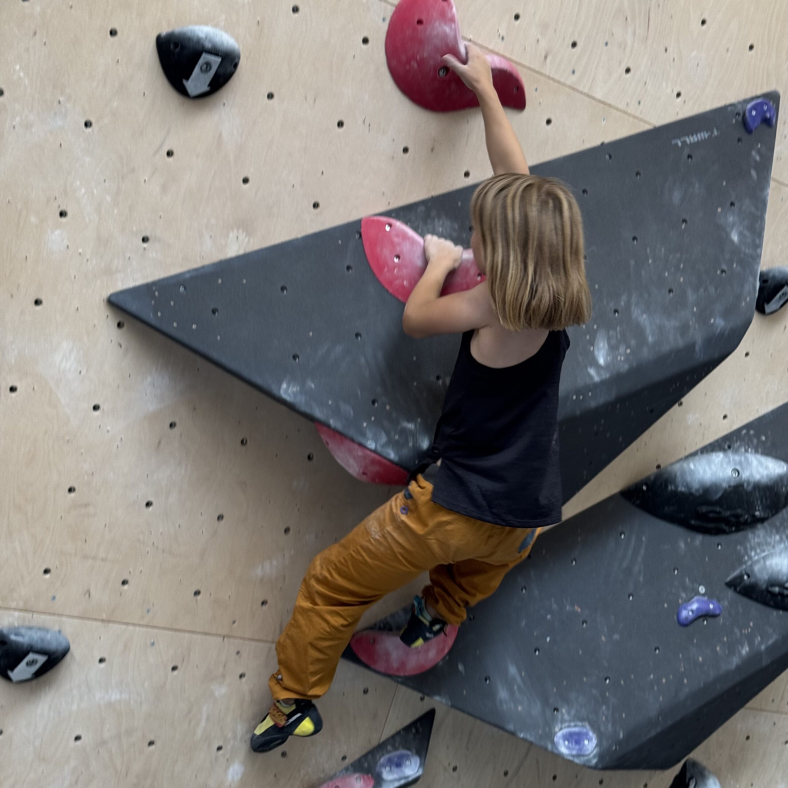 BaseCamp in Andernach