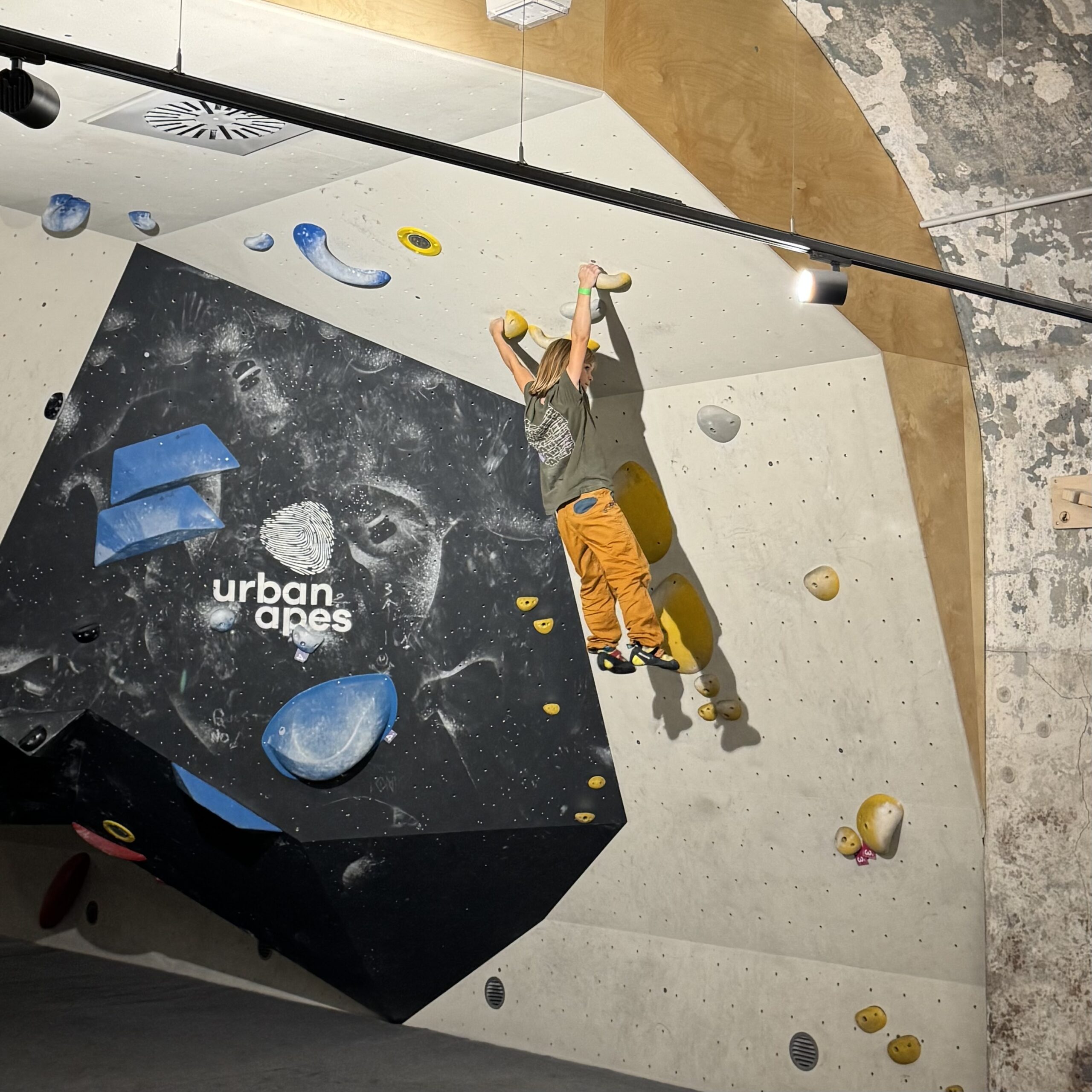 Urban Apes in Berlin F.Hain