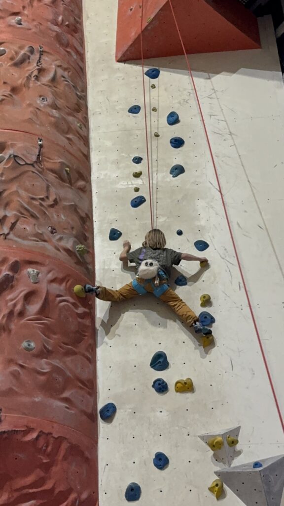 Im No Limit gibt es unterschiedliche Kletterniveaus