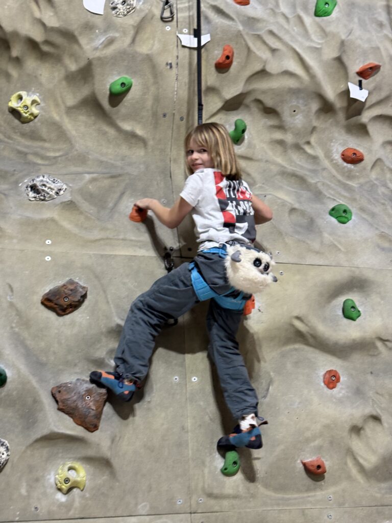 Das Felsenrelief ist echt gelungen