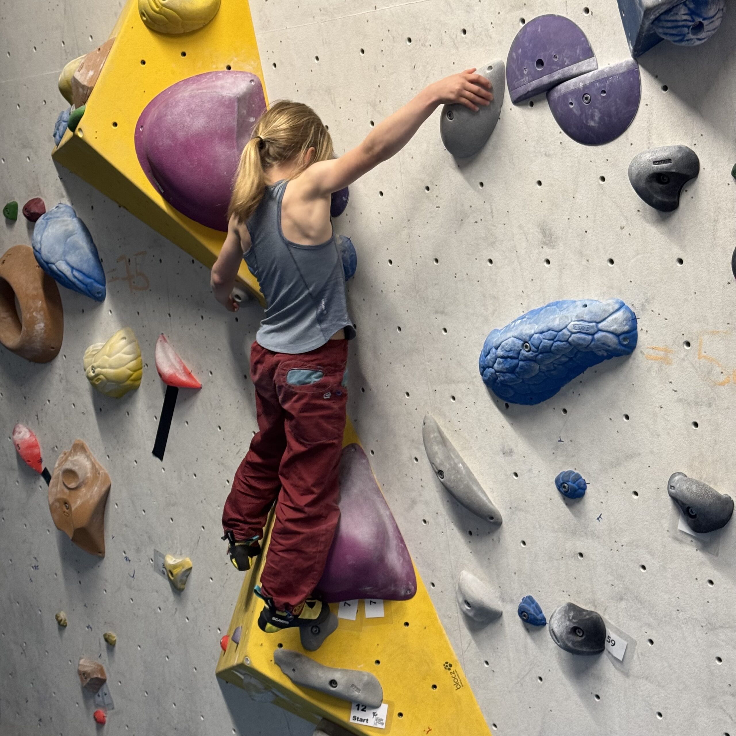 Kletterthalia in Halle (Saale)