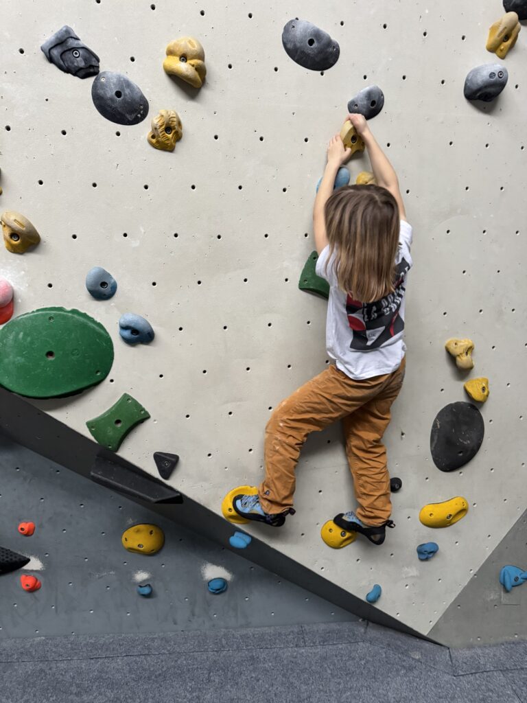 Kleine Tritte - optimal für den Mammut Samurai